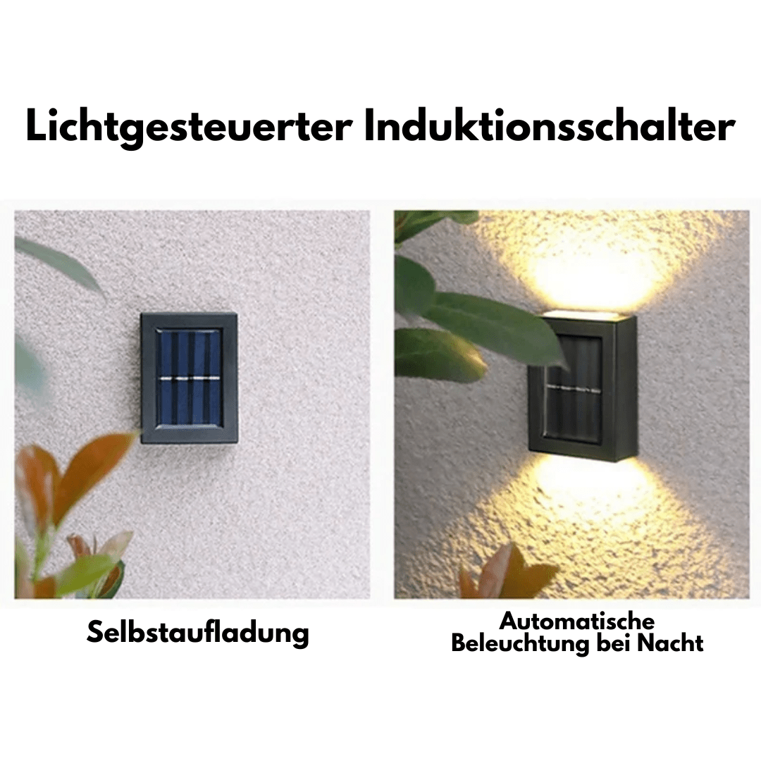 Solar Doppelseitiger Strahler - 136:1410Multicolor;200007763:201336100;249:2000063086Pcs - Mehrfarbig